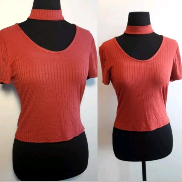 Choker Detailed Fitted Crop Ribbed Knit Blouse